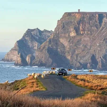 Ferienhaus Mary Ellen's - Doonalt *