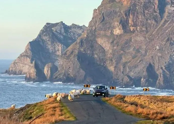 別荘 Mary Ellen's - Doonalt *